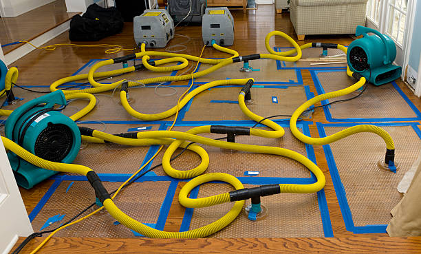Professional Structural Drying And Dehumidification technician working in Ocean View, DE